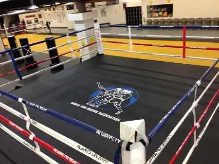 Boxing Ring 1