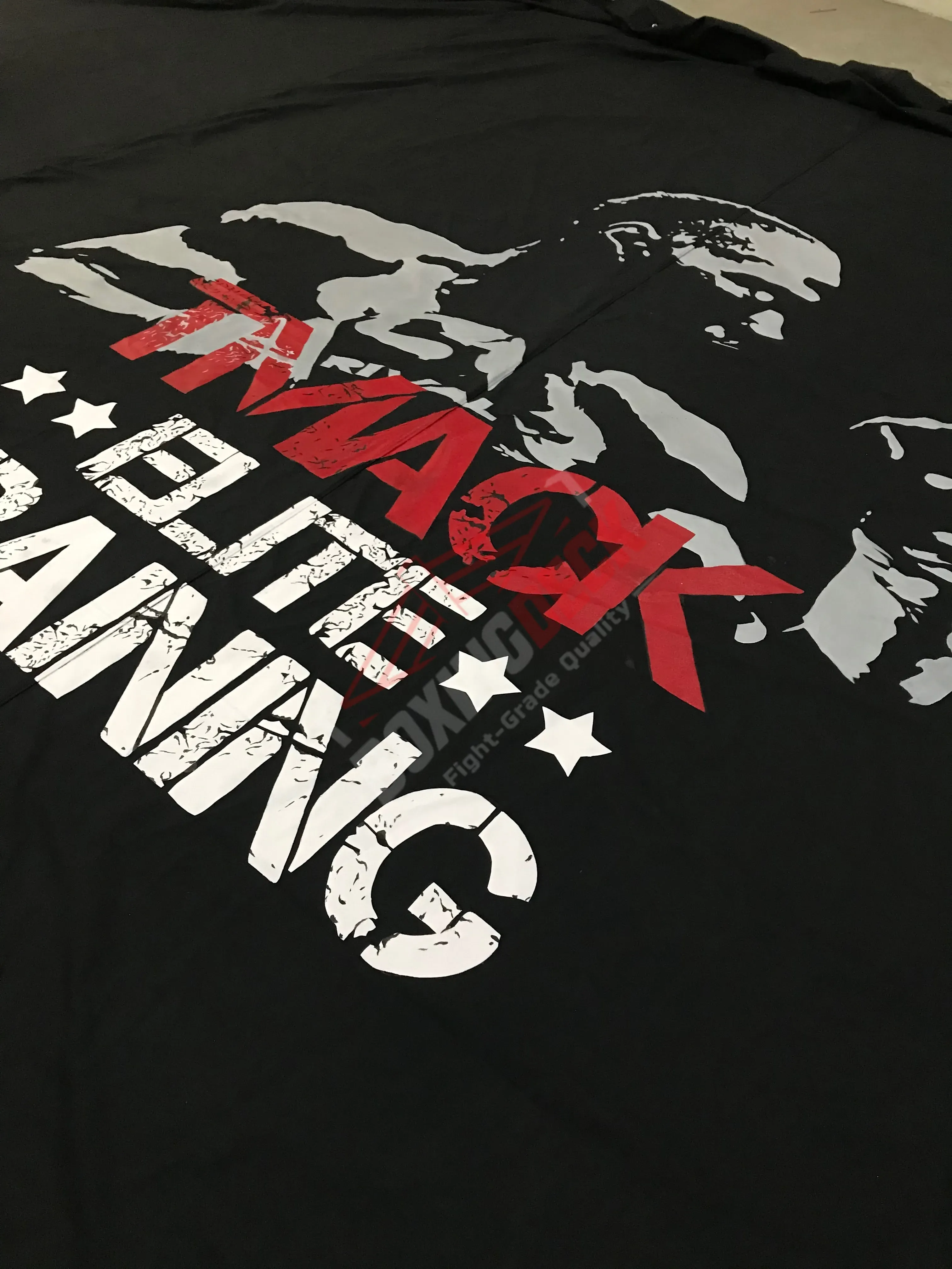 Boxing Ring Competition